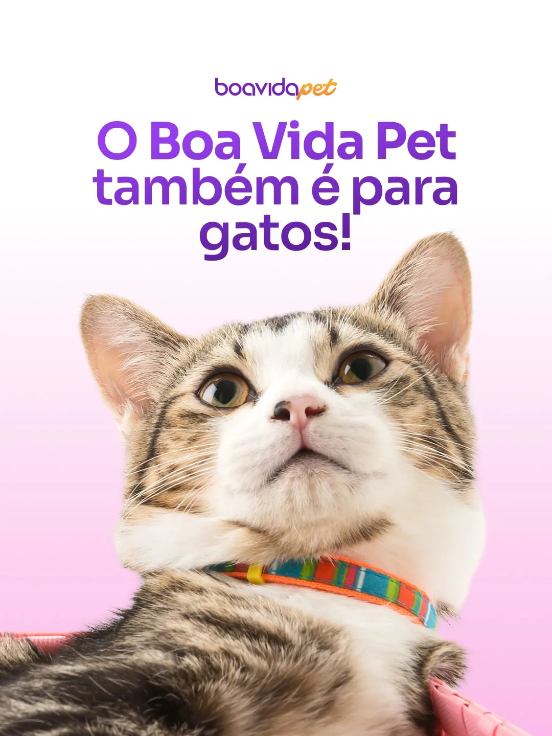 Post 4 de Boa Vida Pet